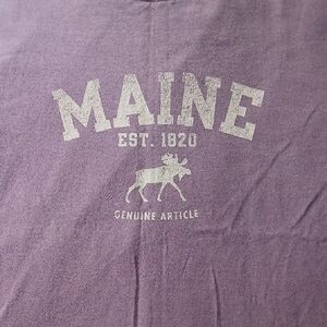 Gildan Purple Ultra Cotton T-Shirt